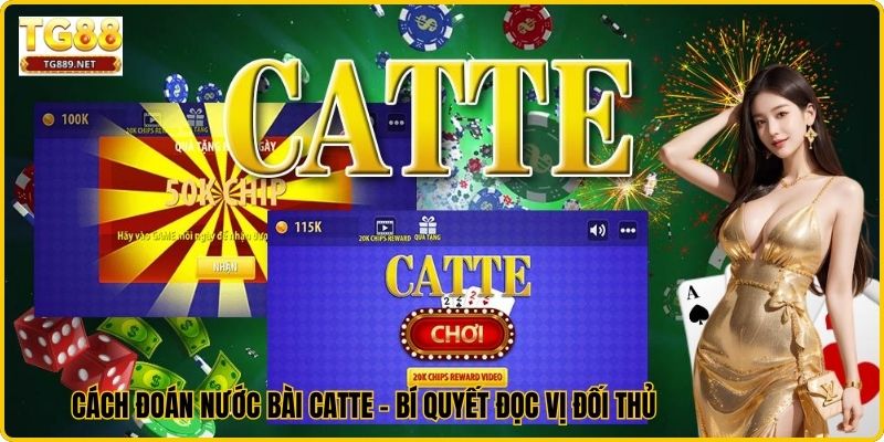 Cách Đoán Nước Bài Catte - Bí Quyết Đọc Vị Đối Thủ